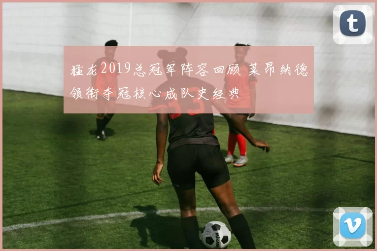 猛龙2019总冠军阵容回顾 莱昂纳德领衔夺冠核心成队史经典